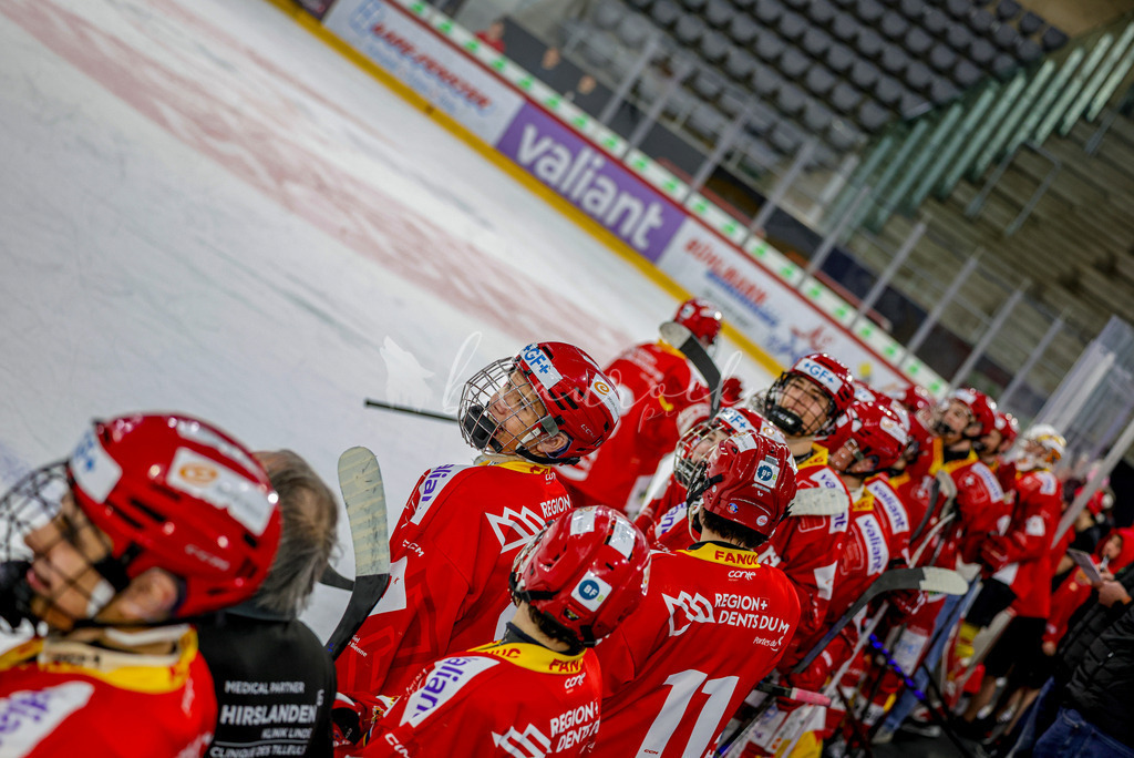 EHCB vs HCD-1654 | Sportbilder, Sportfotograf, Hochzeits- und Eventfotografin, Flugshows, Portraits und Tiershooting, Aviation, Downhill, Nationalleague, Swissleague, International