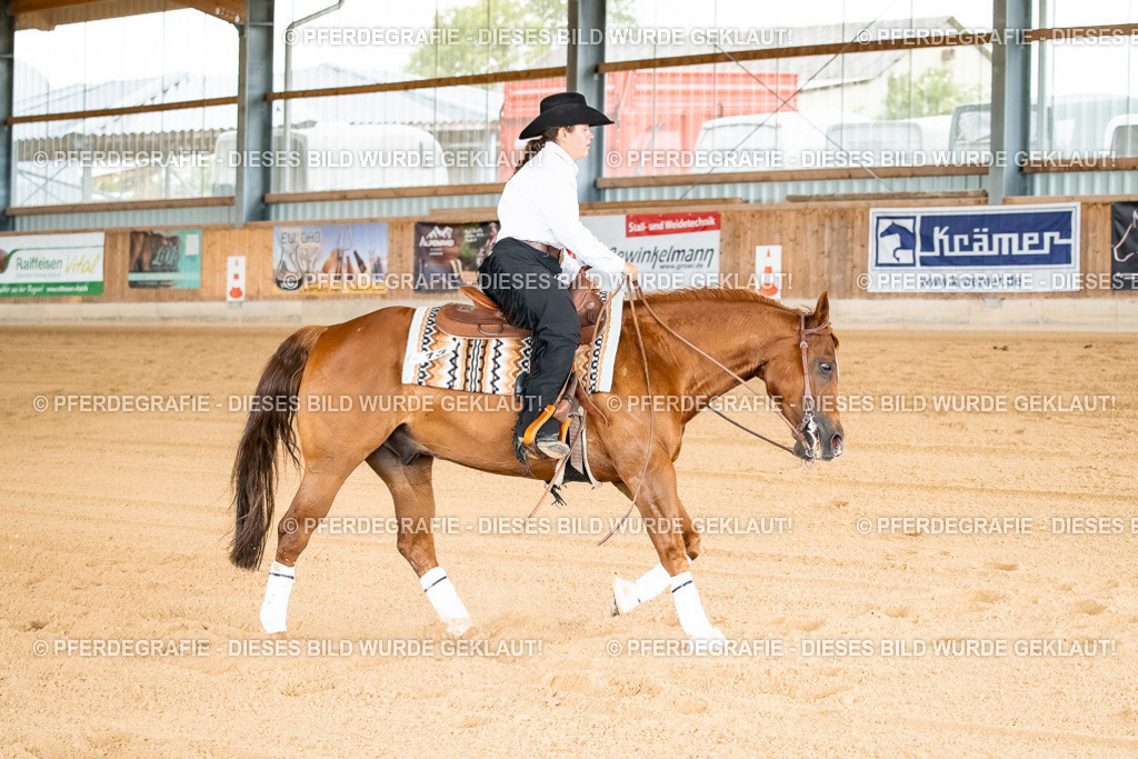 DSC02422 | Pferdegrafie