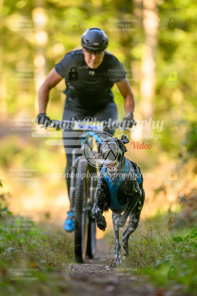 MompixPhotography_Yens2025_B3-167 | PayLife