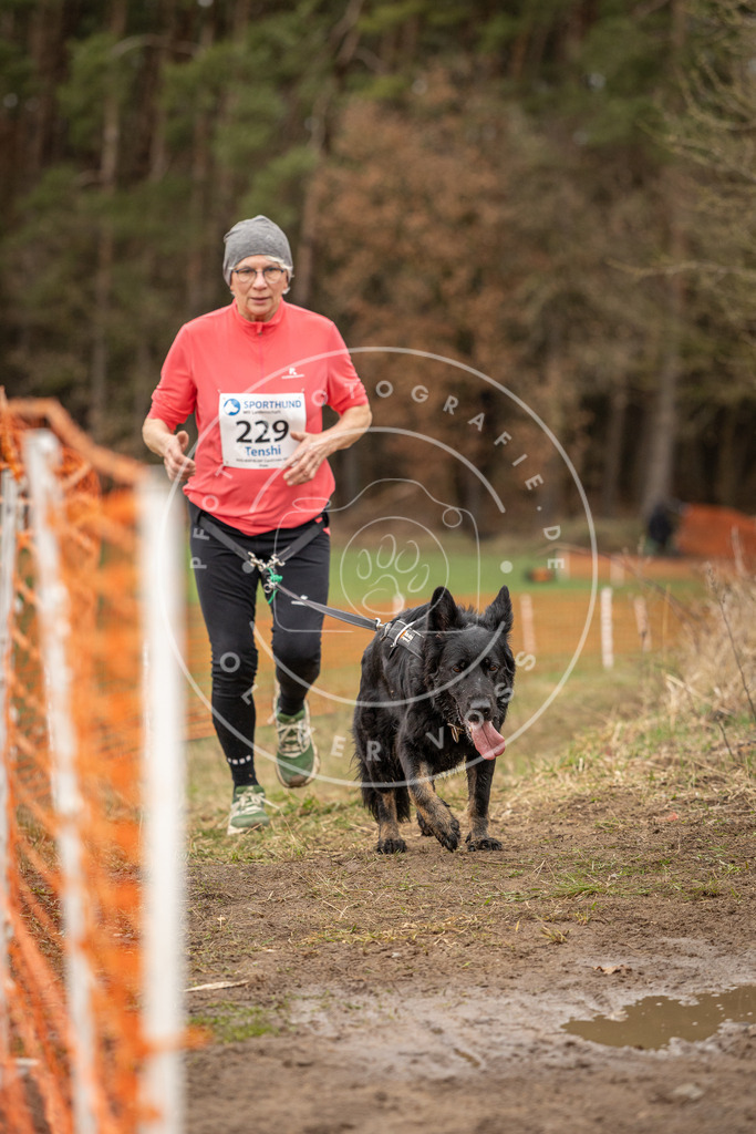DV3A3058 | Hundefotografie, Tierfotograf, Pfotenfotografie, Fotoshooting Hund, Hunde Portrait, Hundesport, Hundeportraits, Heideshooting, Hunde, Sportfotograf, Hundefotograf, Turnierhundsport, THS,  - Realisiert mit Pictrs.com