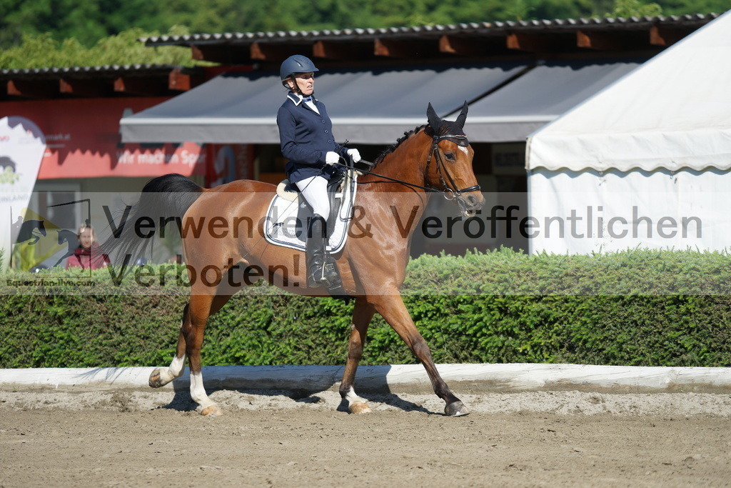 DSC04255 | equestrian-live-com