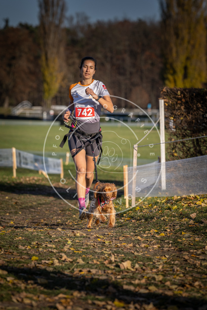 CaniXpix_DV3A2291 | Hundefotografie, Tierfotograf, Pfotenfotografie, Fotoshooting Hund, Hunde Portrait, Hundesport, Hundeportraits, Heideshooting, Hunde, Sportfotograf, Hundefotograf, Turnierhundsport, THS,  - Realisiert mit Pictrs.com
