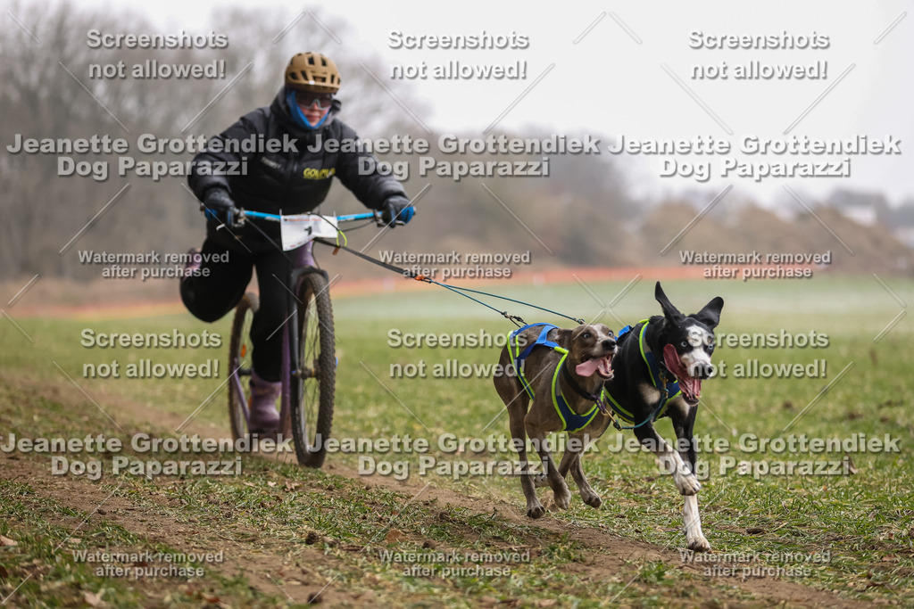 Dog Paparazzi - Plate 2026-39 | Dog Paparazzi Jeanette Grottendiek Fotografie & Videografie - Realisiert mit Pictrs.com