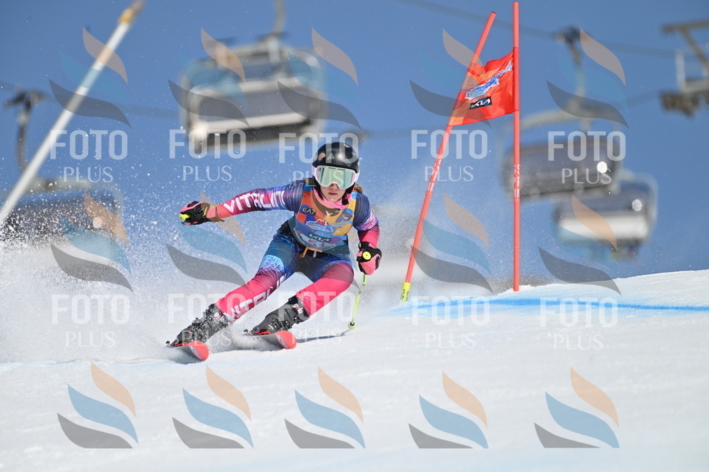 BGV_8547 | holidayphoto