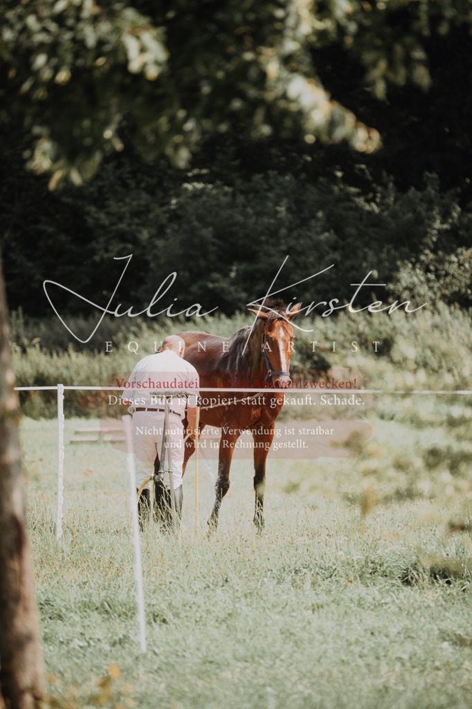 DSC_0573 | Pferde- und Turnierfotografie in Westsachsen. Pferdeportraits, Auftragszeichnungen und intuitive Kunst.