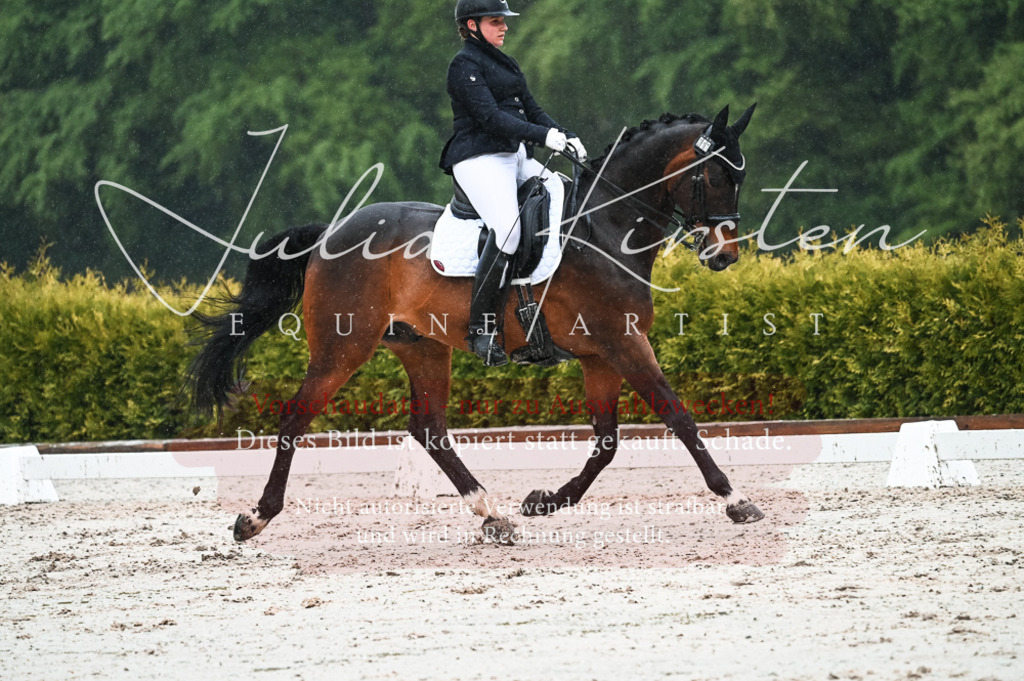 DSC_4535 | Pferde- und Turnierfotografie in Westsachsen. Pferdeportraits, Auftragszeichnungen und intuitive Kunst.