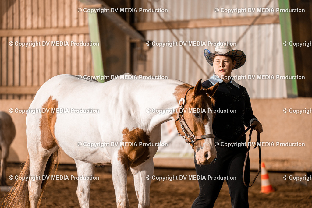 BAL01295 | dv-media-shop - Realisiert mit Pictrs.com