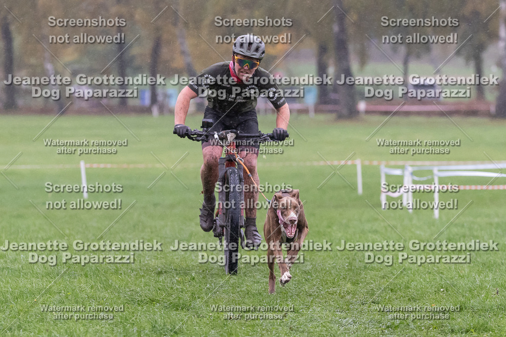 Dog Paparazzi - SD CaniX Championship 2025-913 | Dog Paparazzi Jeanette Grottendiek Fotografie & Videografie - Realisiert mit Pictrs.com