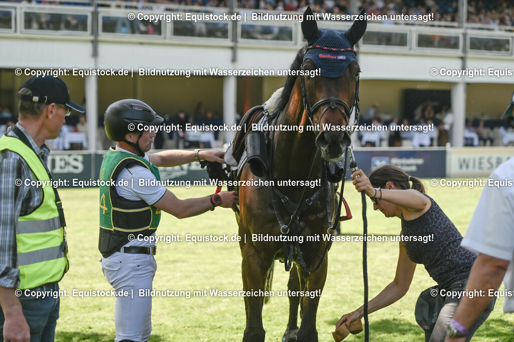 20230527_27_CCI4_Gelände_0476 | equistock