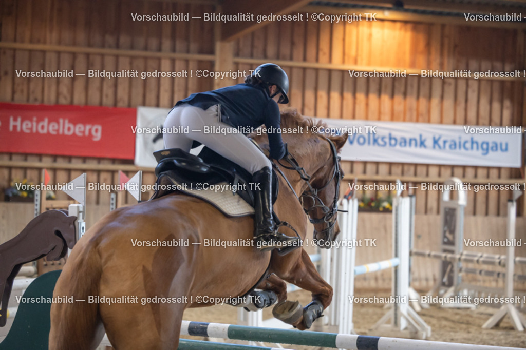 _D5A9102 | Emotionale Pferde- & People-Fotografie rund um Heidelberg, Leimen & Umgebung. Natürliche Fotos von Pferd, Mensch & Familie. Jetzt Termin sichern!
