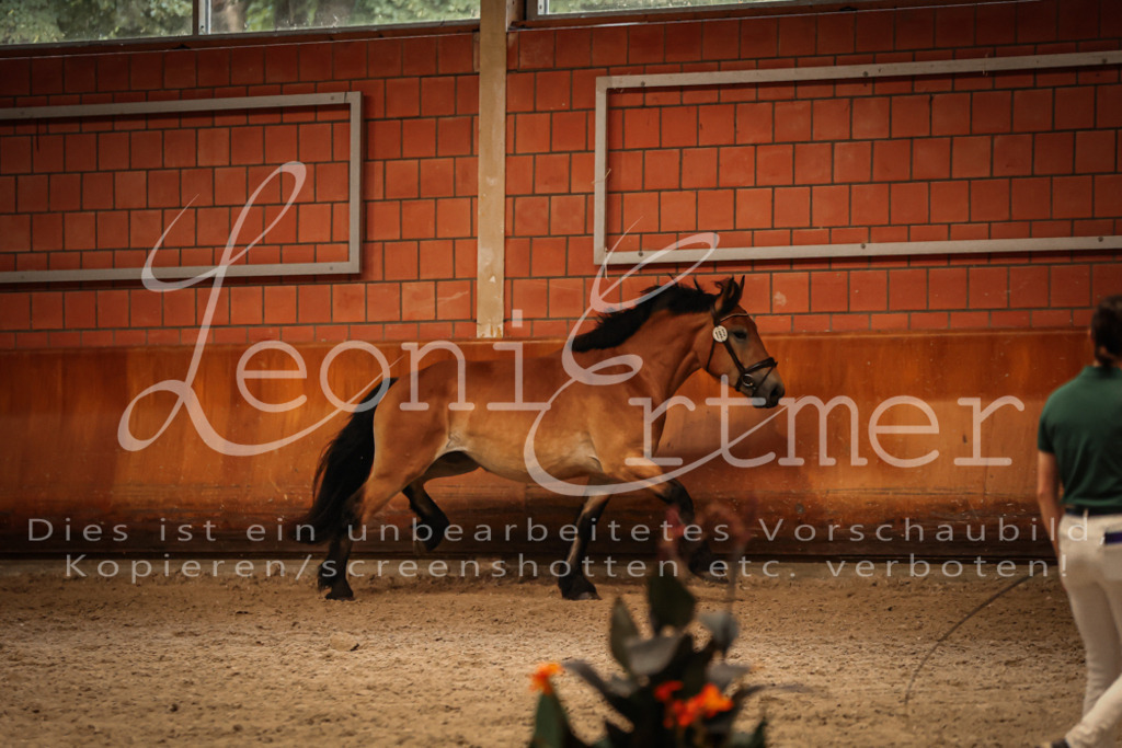 SaFL00289 | Leoni Ertmer Photography - Realisiert mit Pictrs.com