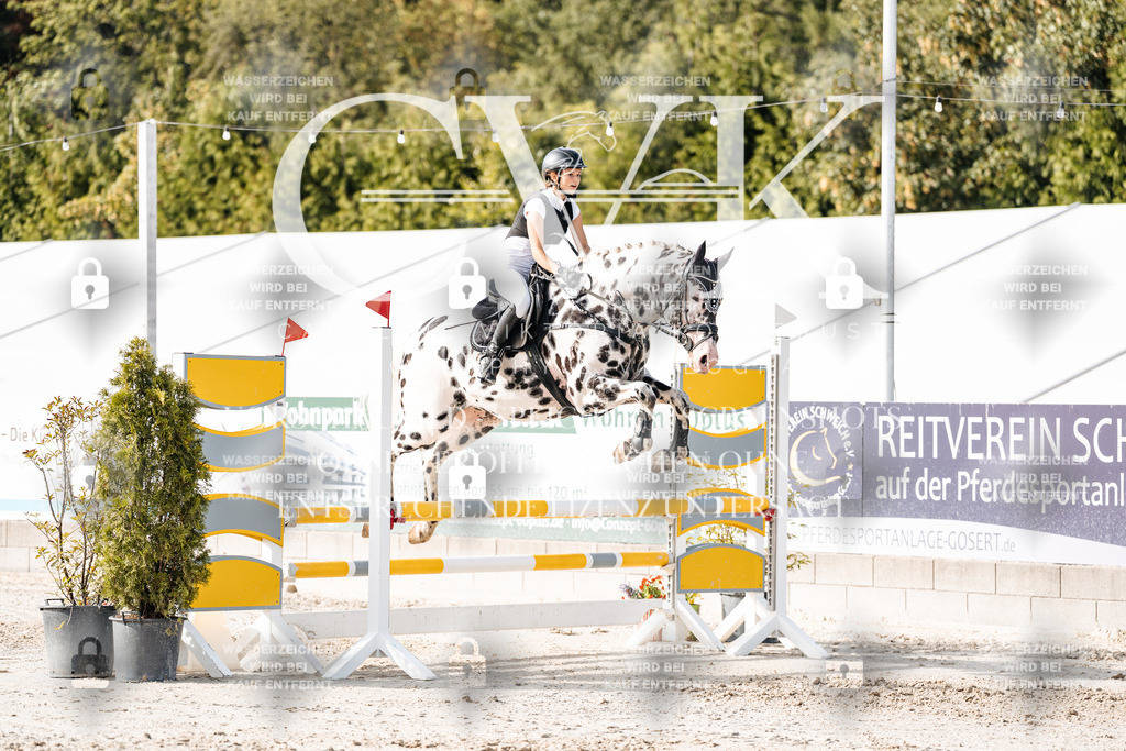 CK905958 | Turnierfotografie Pferdefotografie Trier Rheinland-Pfalz Pferdesport Reitsport Tierfotografie Sportfotografie Pferdevideo Pferdevideografie Equestrianvideography equestrianphotography  - Realisiert mit Pictrs.com