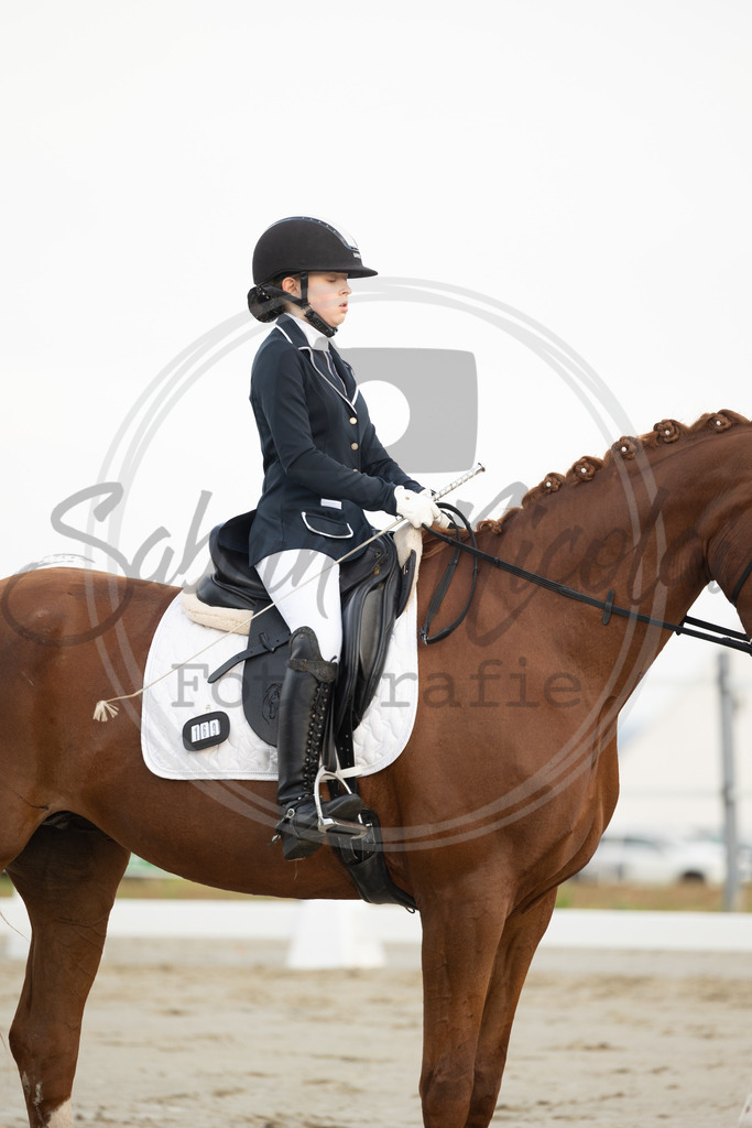 994A9903 | sabrinanicolaifotografie - Realisiert mit Pictrs.com