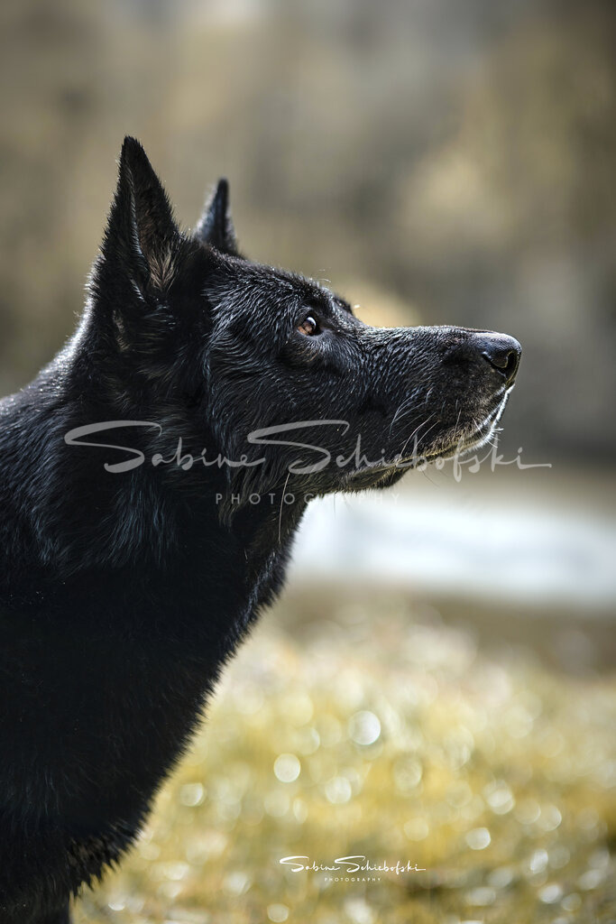 Kami_24-04-082024_04_8_DSCF1061 1 | People- und Tierfotografie, Imageaufnahmen, Veranstaltungsfotografie und Wandbilder aus der Natur ★ Made in Germany ✔️ Druck + Downloads ✔️ Naturfotografie in Top Qualität ★ schneller Versand, weltweite Lieferung! - Realisiert mit Pictrs.com