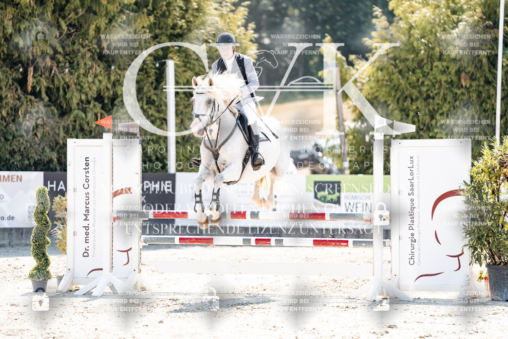 CK908992 | Turnierfotografie Pferdefotografie Trier Rheinland-Pfalz Pferdesport Reitsport Tierfotografie Sportfotografie Pferdevideo Pferdevideografie Equestrianvideography equestrianphotography  - Realisiert mit Pictrs.com