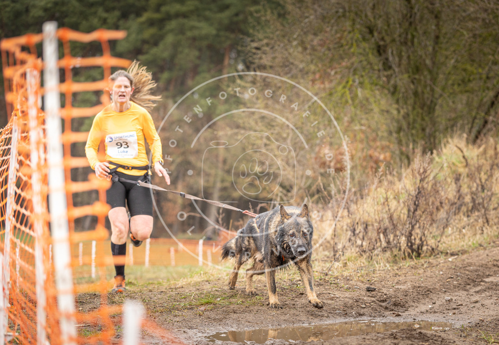 DV3A0468 | Hundefotografie, Tierfotograf, Pfotenfotografie, Fotoshooting Hund, Hunde Portrait, Hundesport, Hundeportraits, Heideshooting, Hunde, Sportfotograf, Hundefotograf, Turnierhundsport, THS,  - Realisiert mit Pictrs.com