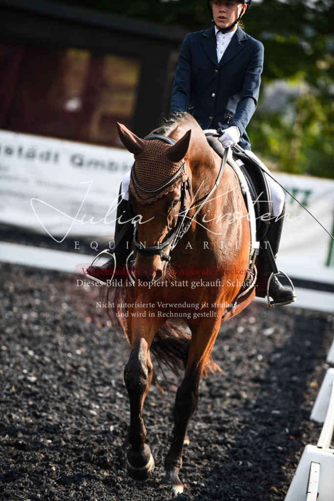 DSC_3365 | Pferde- und Turnierfotografie in Westsachsen. Pferdeportraits, Auftragszeichnungen und intuitive Kunst.
