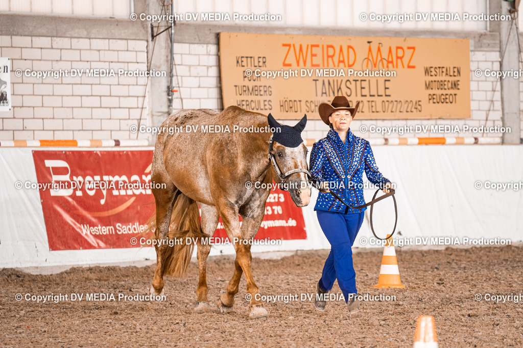 ZH200240 | dv-media-shop - Realisiert mit Pictrs.com