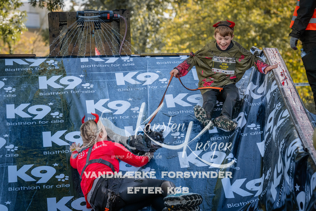 1440_ZZ93691 | kk-dogfotos