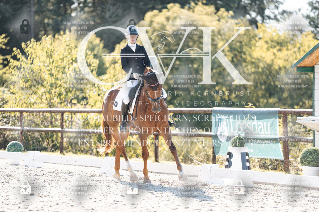 CK906629 | Turnierfotografie Pferdefotografie Trier Rheinland-Pfalz Pferdesport Reitsport Tierfotografie Sportfotografie Pferdevideo Pferdevideografie Equestrianvideography equestrianphotography  - Realisiert mit Pictrs.com