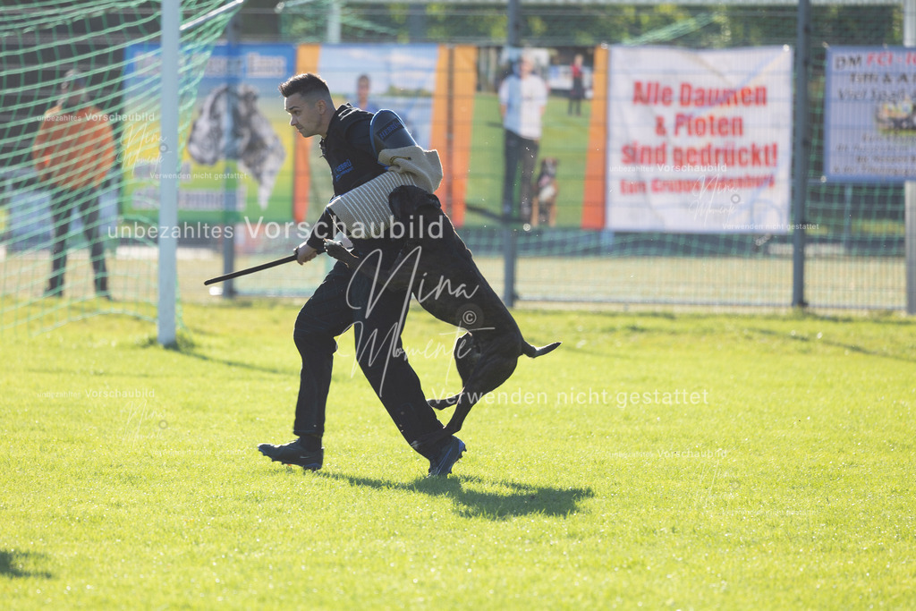 _16A4887 | Einzigartige Fotos von Hunden & Menschen –Actionfotos, Portraits, Vereinsaufnahmen & Paarshootings – authentisch, lebendig & mit Herz.