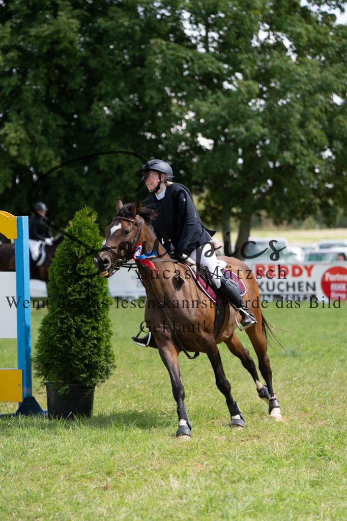 A7V04645 | Pferdefotograf