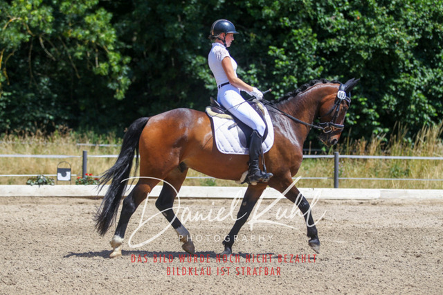 DKP46310 | Turniersportfotografie; Pferdefotografie; Dressurfotografie