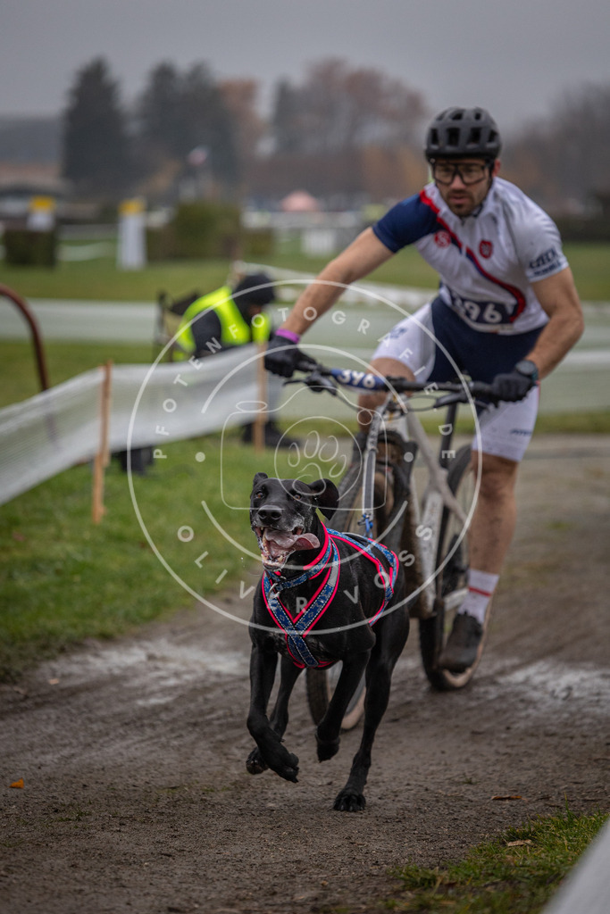 CaniXpix_0L8A1111 | Hundefotografie, Tierfotograf, Pfotenfotografie, Fotoshooting Hund, Hunde Portrait, Hundesport, Hundeportraits, Heideshooting, Hunde, Sportfotograf, Hundefotograf, Turnierhundsport, THS,  - Realisiert mit Pictrs.com