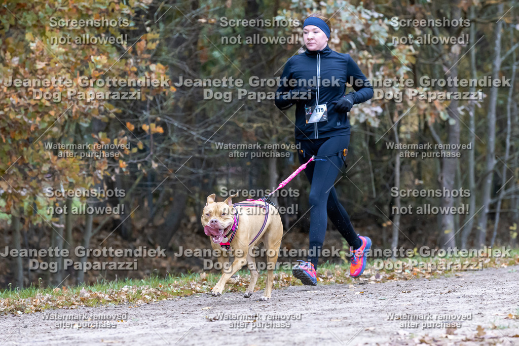 Dog Paparazzi - SD CaniX Championship 2025-500 | Dog Paparazzi Jeanette Grottendiek Fotografie & Videografie - Realisiert mit Pictrs.com