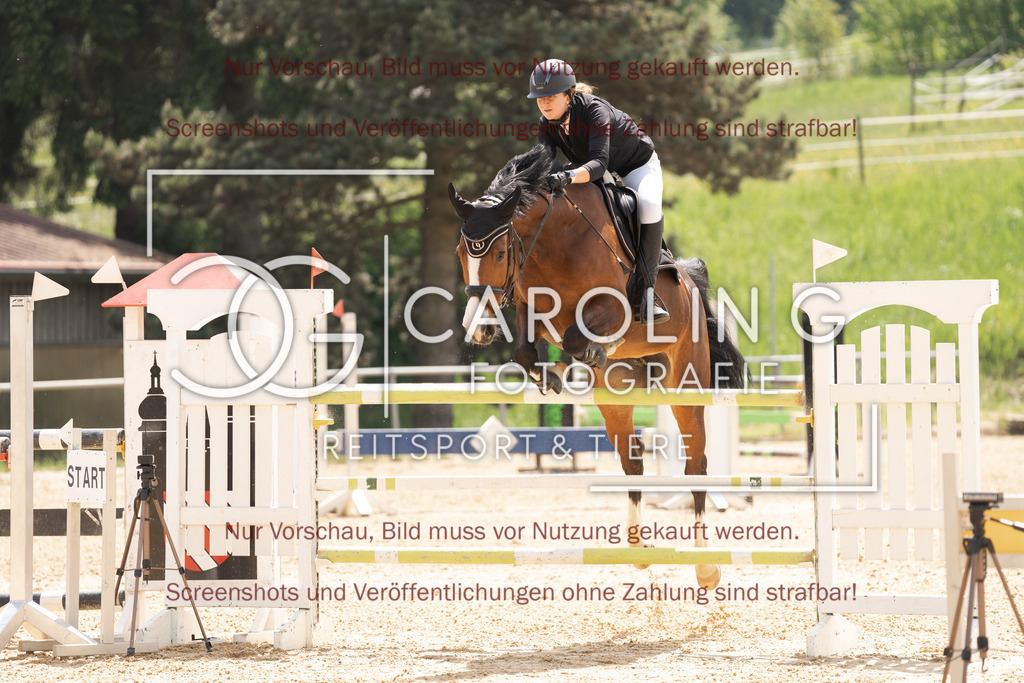 DSC06602 | Springturnier_Ehingen_Mai_2026, Lya_Reithmeier, Crazy_for_pita