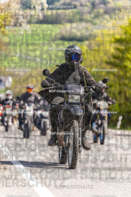 Look1-1480 | MSFotoService - Realisiert mit Pictrs.com