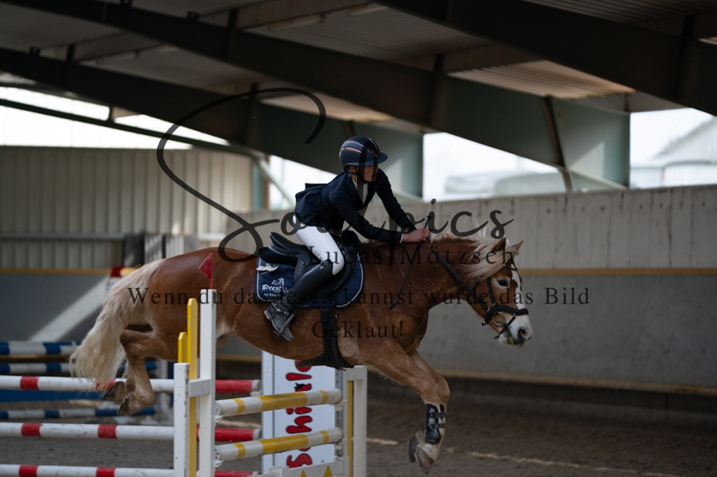 A7V08404 | Pferdefotograf