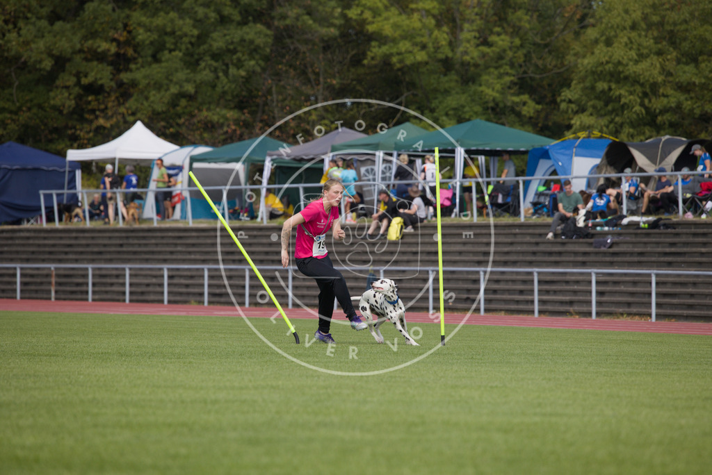 0L8A3465 | Hundefotografie, Tierfotograf, Pfotenfotografie, Fotoshooting Hund, Hunde Portrait, Hundesport, Hundeportraits, Heideshooting, Hunde, Sportfotograf, Hundefotograf, Turnierhundsport, THS,  - Realisiert mit Pictrs.com