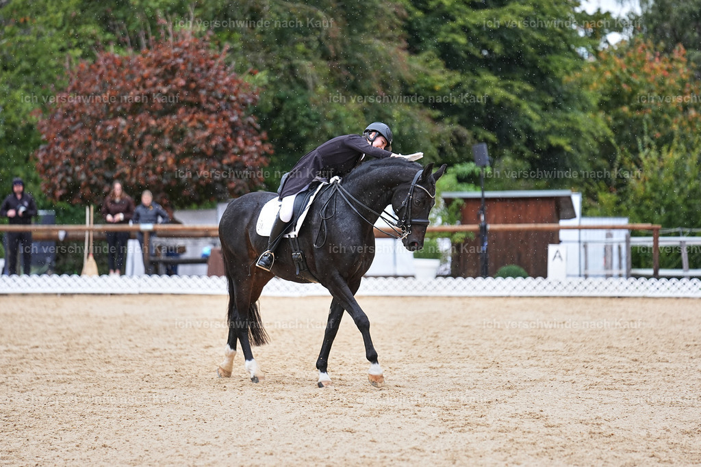 8_1-118-Klasse S_  -Marixx-4237 | working equitationturnier fotograf videograf stoibphotography marixx film working equitation deutschland reitsport turnierfotografie eventfotografie equestrian events