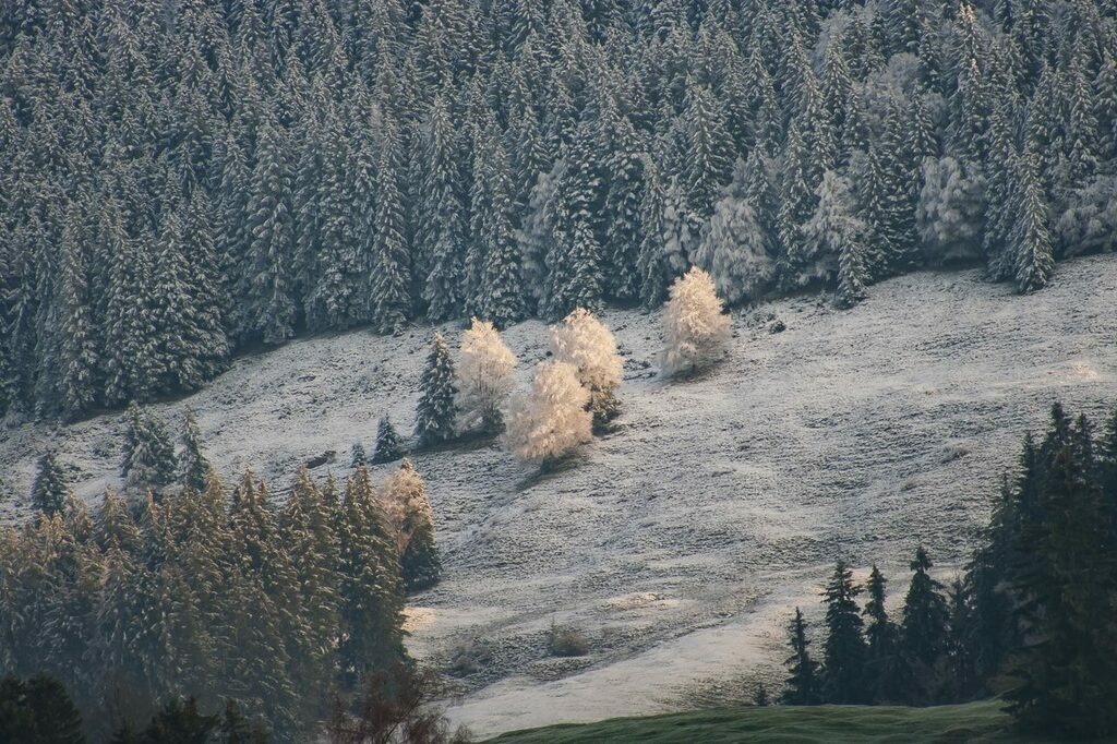 PSX_20221202_235323 | mtkfoto_ - Realisiert mit Pictrs.com