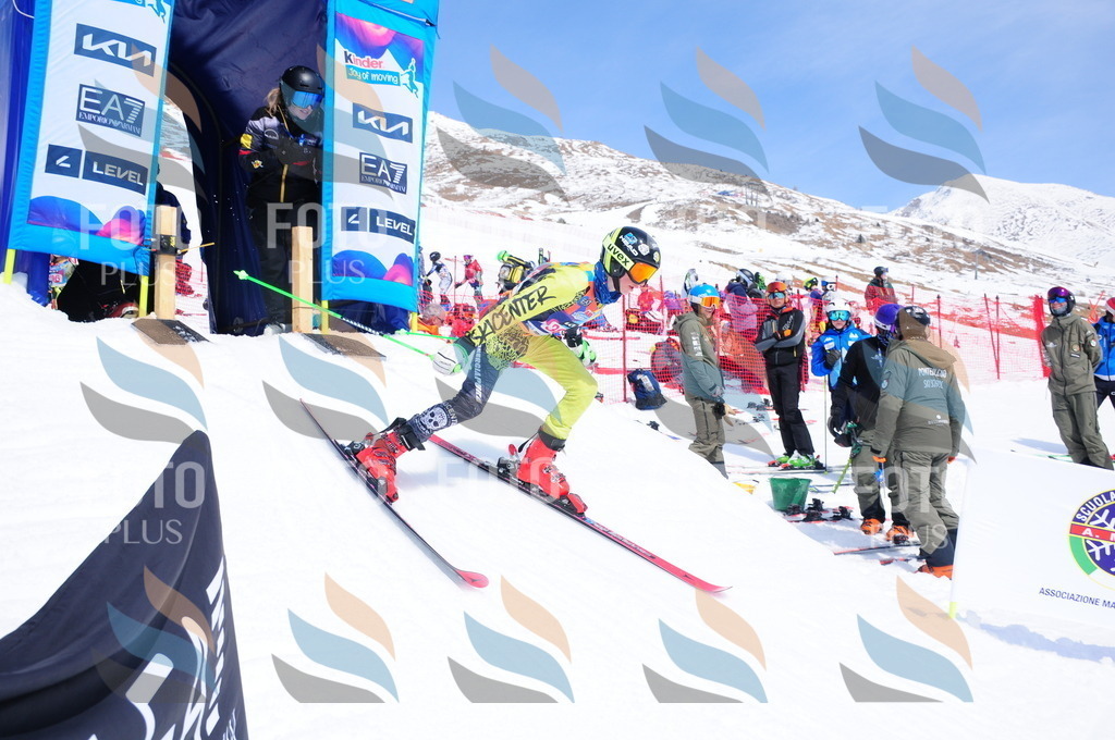 DSC_6695 | holidayphoto