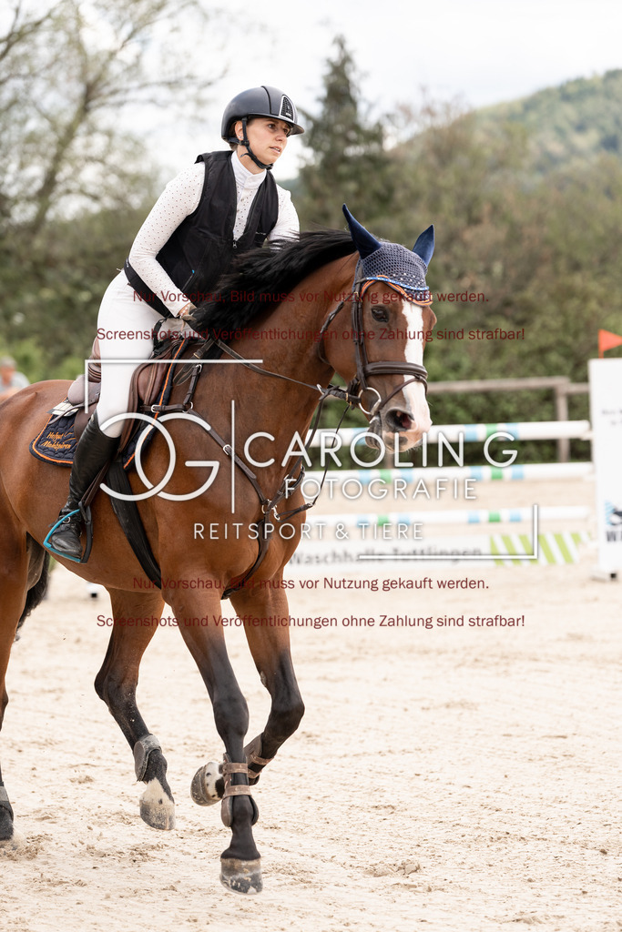DSC06714 | Springturnier_Teamchallege_Talheim_2026, Celina_Heim, Uriah_5