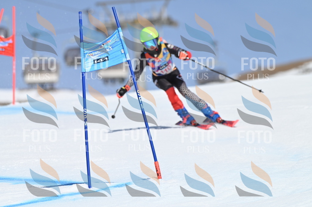 BGV_9637 | holidayphoto