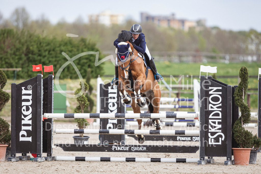 250419_Frühlingsfest_Stil-A2-1-503 | Deine schönsten Turniermomente als professionelle Fotos! Entdecke hochwertige Pferdesport-Fotografie im Online-Shop. Jetzt Fotos finden & bestellen!