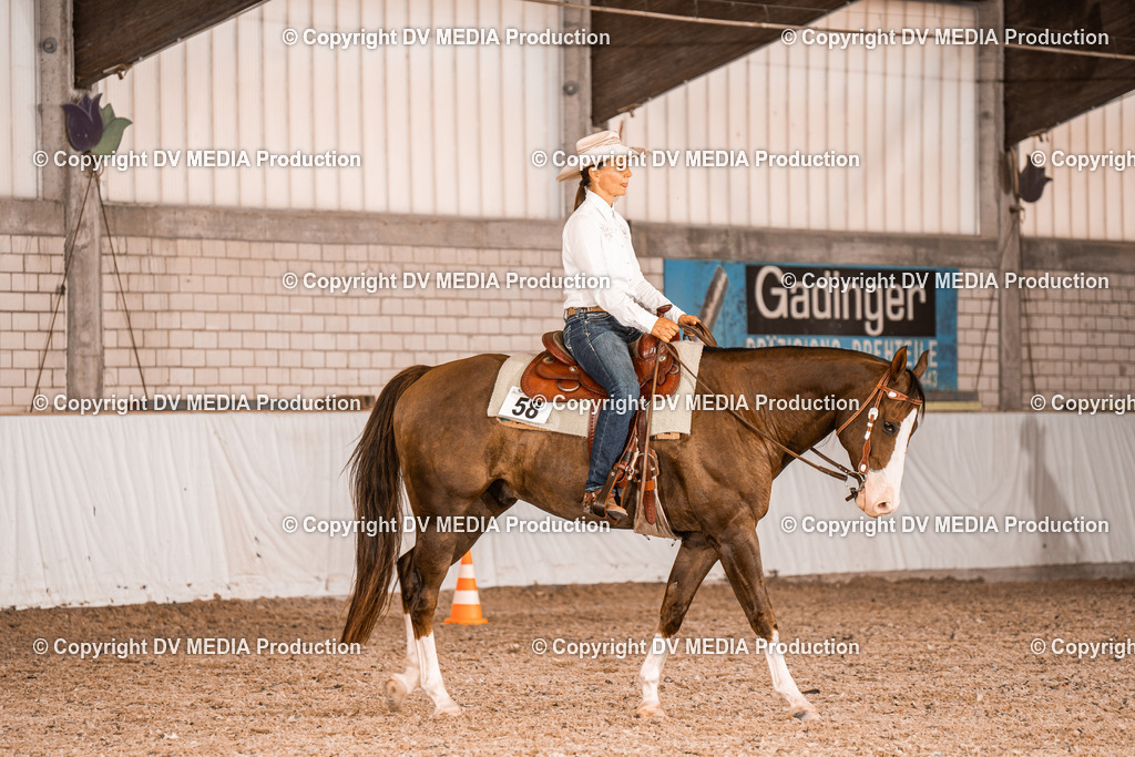 ZH100611 | dv-media-shop - Realisiert mit Pictrs.com