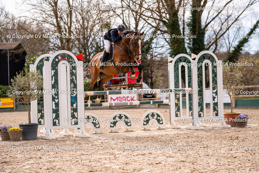 Kranichstein Tag 2-595 | dv-media-shop - Realisiert mit Pictrs.com