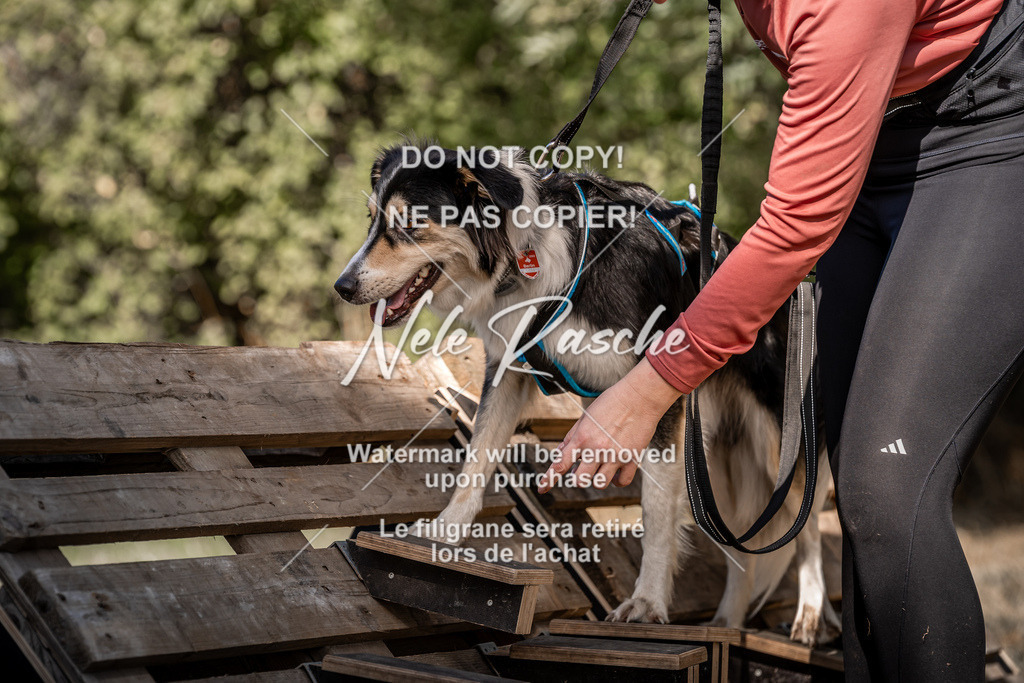 nelerasche_slaw24So_272 | nelerasche