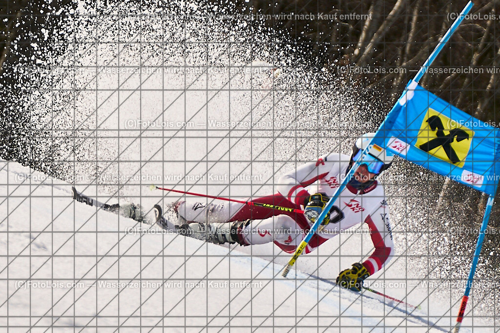 ALP8489_Herrn-FIS-GS-II_Lackenhof-WY_PITZER Willi | Internationaler FIS GiantSlalom der Herrn auf der Distelpiste in Lackenhof am Di 11. März 2025.  Österreich, LSV-NÖ, Sportunion Waidhofen/Ybbs (2035).