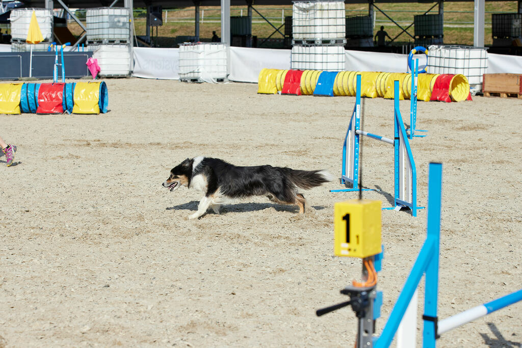 580B0086 | Peter Fridle Fotografie - Realisiert mit Pictrs.com
