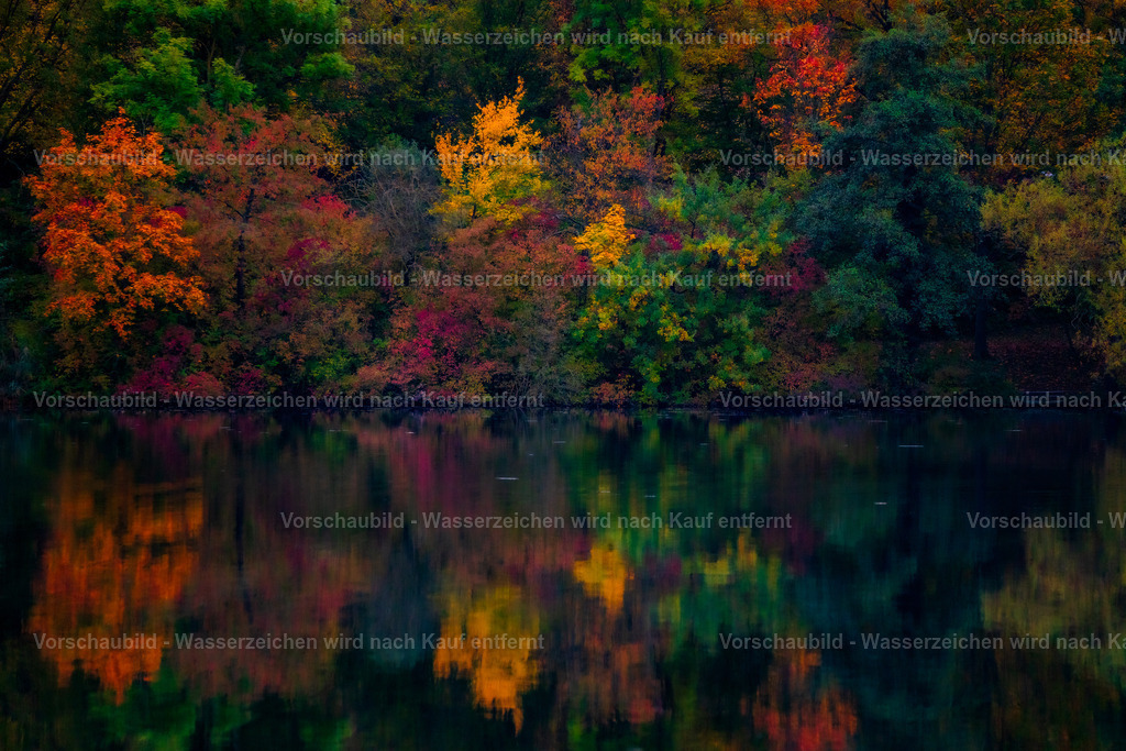 DSC05588-2 | marcuslinek