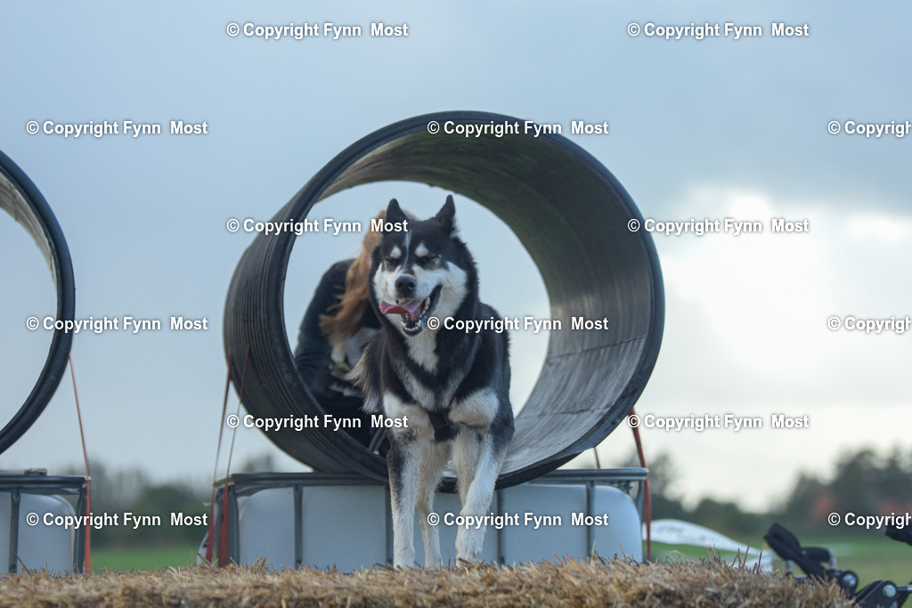 DSC_0265-3 | Hallo und herzlich Willkommen auf meiner Shop-Seite Fynn Most.

Ich wünsche Dir viel Spaß beim stöbern durch die Bilder, wenn Du Fragen hast oder Bilder vermisst, kannst du mir gerne eine Nachricht schreiben. - Realisiert mit Pictrs.com