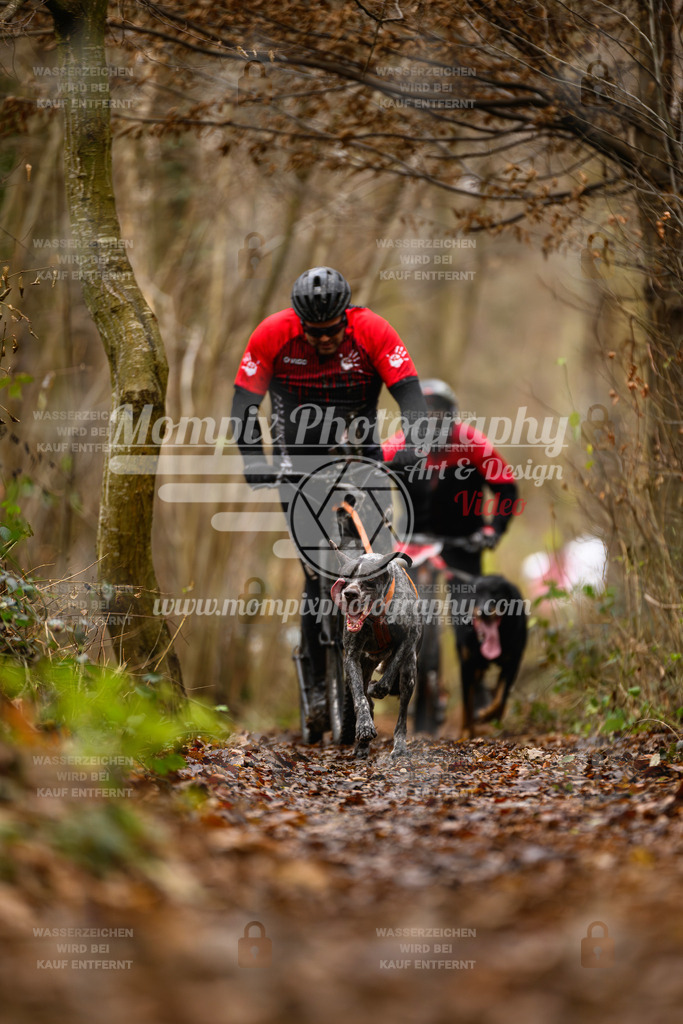 MompixPhotography_Eschau2024_DS1-17 | PayLife