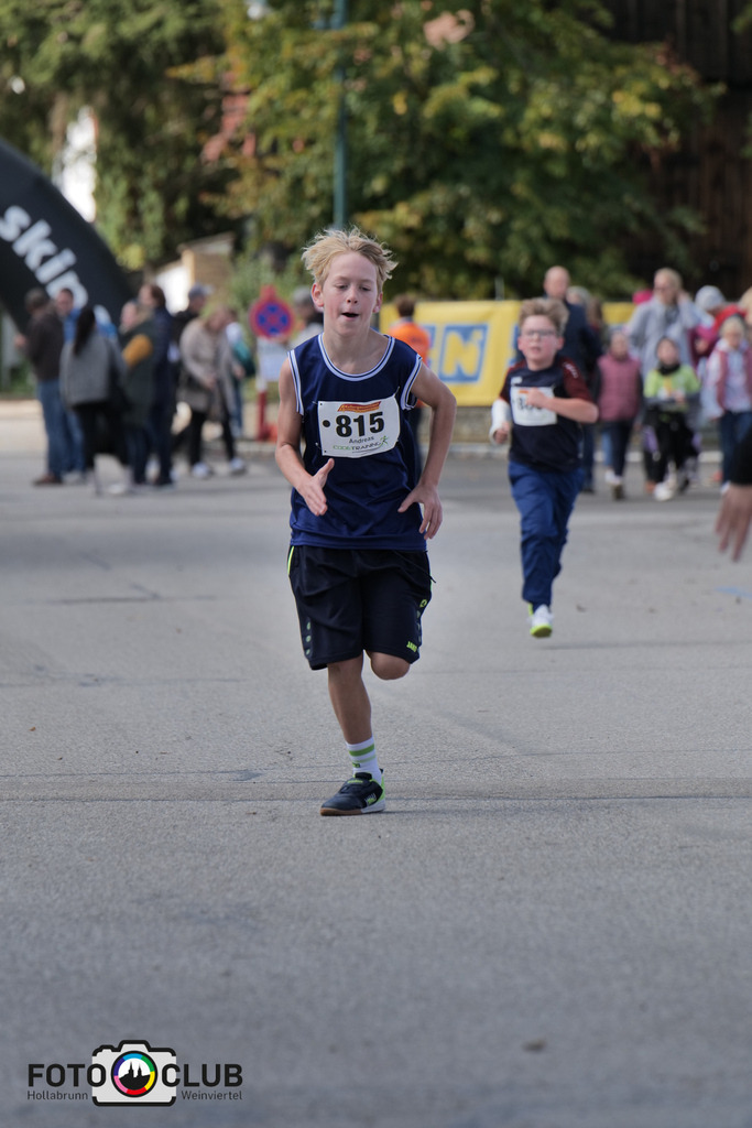 D (493) | Foto Buchgraber