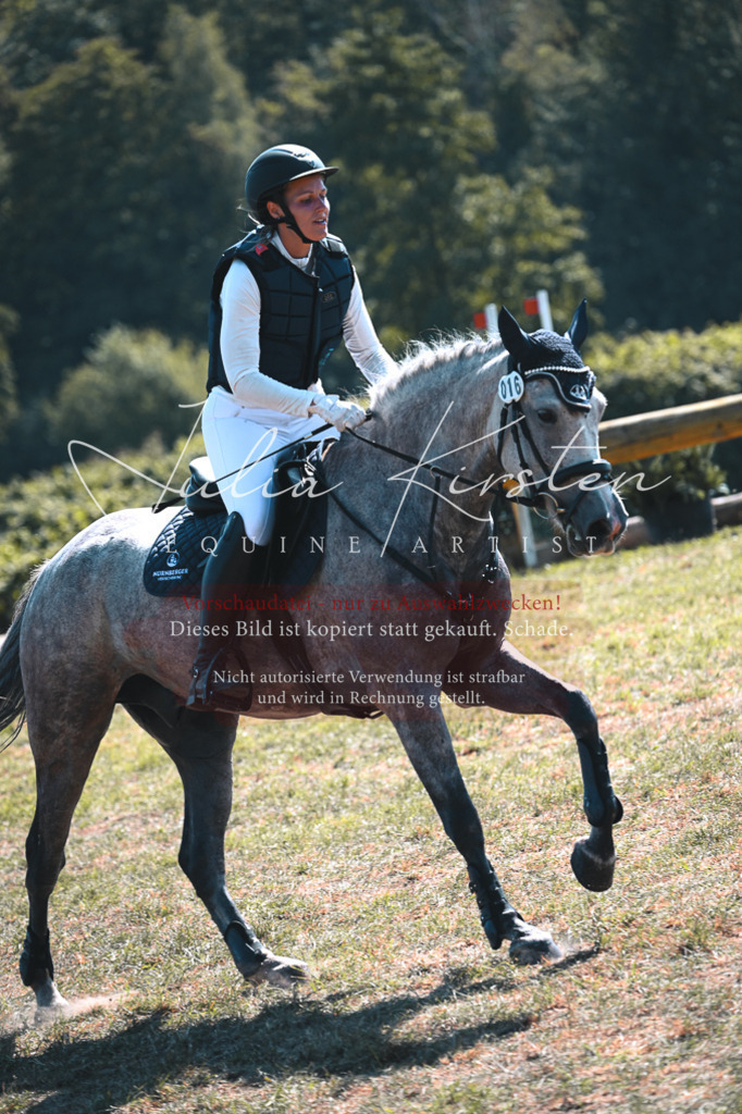 DSC_8204 | Pferde- und Turnierfotografie in Westsachsen. Pferdeportraits, Auftragszeichnungen und intuitive Kunst.
