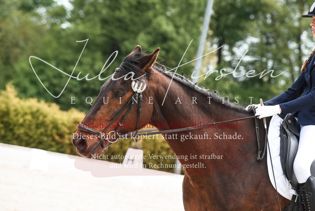 20230518_JK-Röhrsdorf-11-0070 | Pferde- und Turnierfotografie in Westsachsen. Pferdeportraits, Auftragszeichnungen und intuitive Kunst.